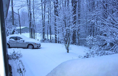 Snow in NC 2010