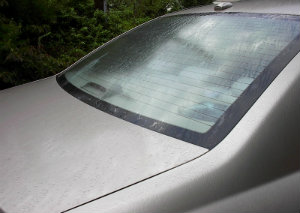 Rain on back of car